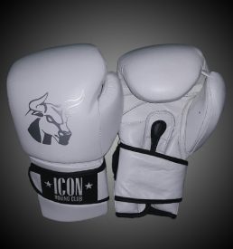 icon platinum velcro